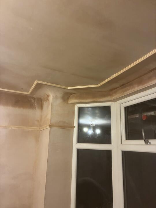 Plastering and renovation by Romenzo Construction