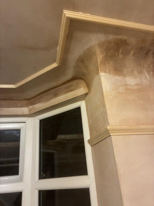 Plastering and renovation by Romenzo Construction